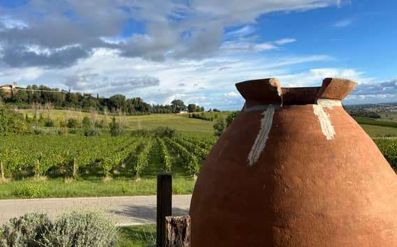 Wijnproeverij in Bertinoro bij Tenuta La Viola