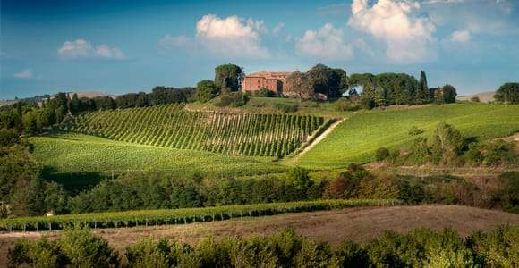 Montalcino: Degustace vína Brunello
