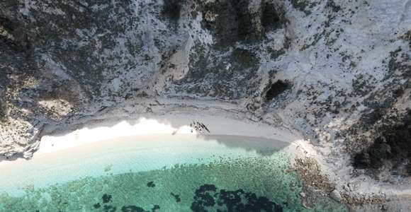 Marciana Marina: Elba Island Full-Day Kayaking Tour