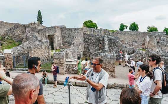 De Nápoles ou Sorrento: Excursão de meio dia a Pompéia
