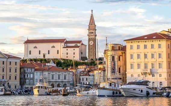 Excursión a la costa eslovena desde Trieste, con cata
