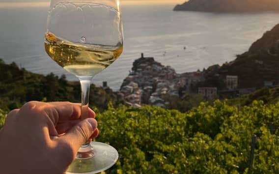 Vernazza: Panoramatická túra vinicemi s ochutnávkou vína