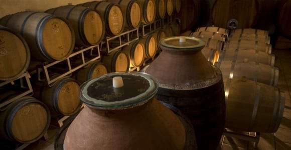 Visite de cave avec dégustation de vins et mets près de Riccione et Rimini