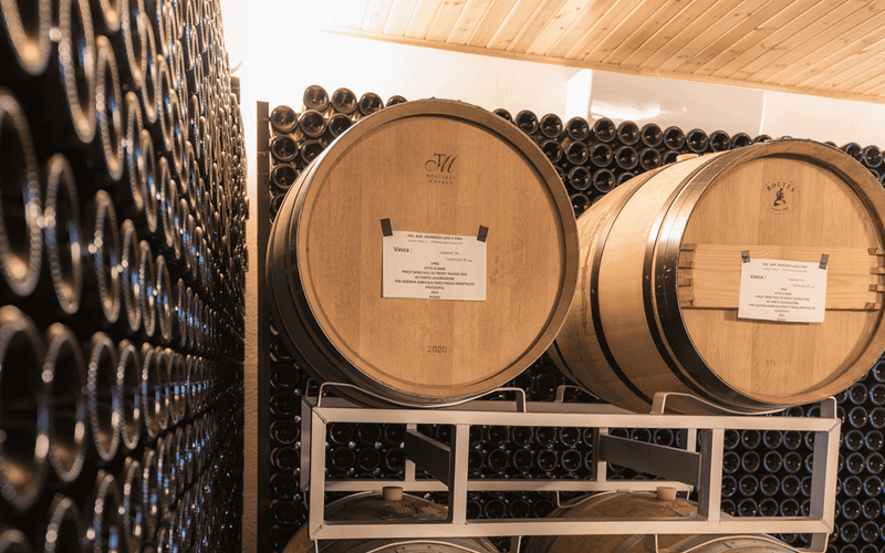 Visita alla cantina biologica e degustazione di vini con cibo a Pavia