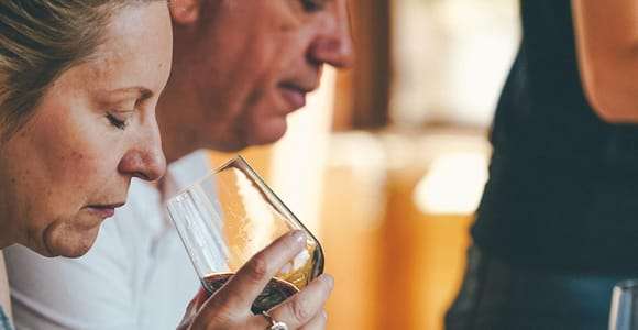 De Verona: Tour de degustação de vinhos Valpolicella e Amarone