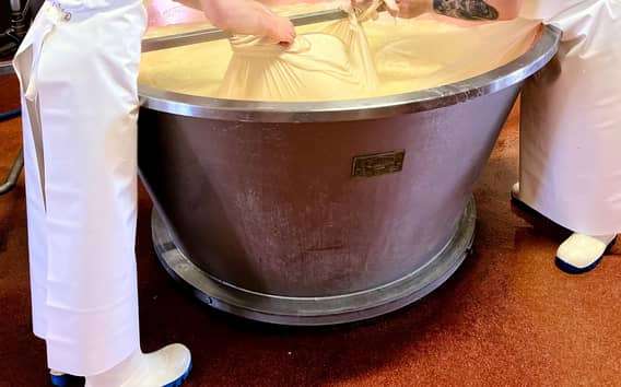 Parmesan und Balsamico-Essig in Modena probieren & besichtigen