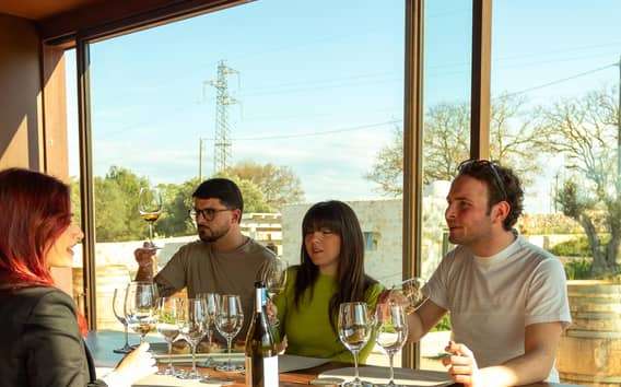 Die Bio-Weine von Ostuni – Tour und Verkostung im Weingut