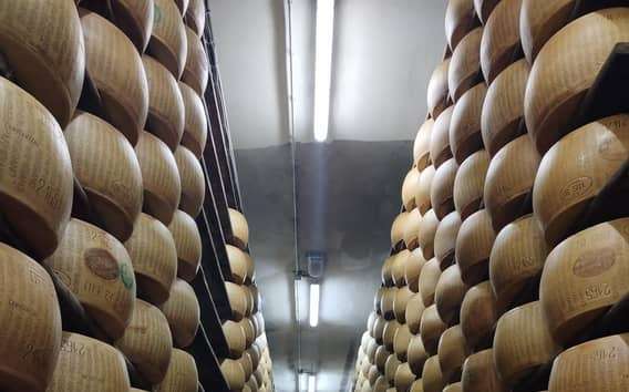 Visita a un caseificio di Parmigiano Reggiano a Parma
