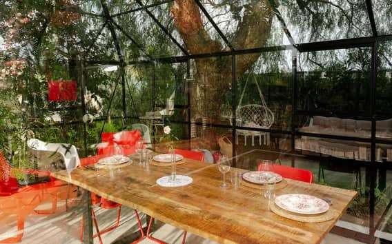 Clase de cocina privada en un invernadero de Ostuni