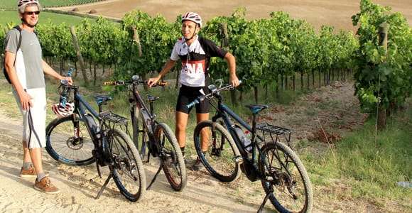Desde Siena: recorrido en bicicleta eléctrica por la campiña de Chianti con almuerzo y vino