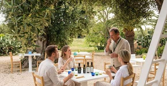 Ostuni: cata de aceite de oliva en una antigua masseria