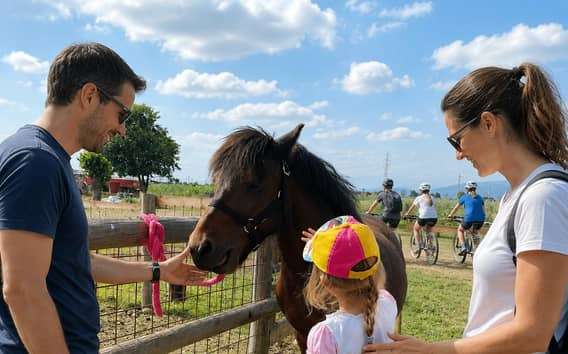 Boerderijbezoek met dieren bij het Gardameer en proeverij