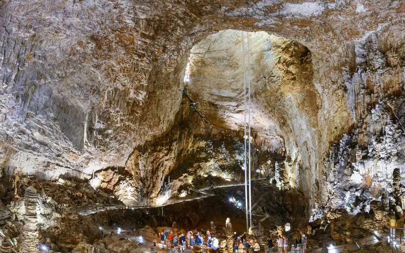 Grotta Gigante Guided Tour: 500 Steps into the Great Cavern