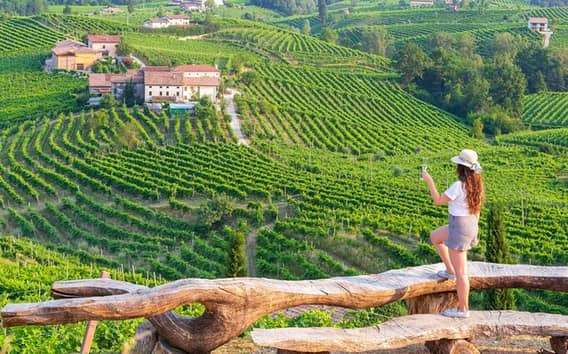 Tour del Prosecco desde Venecia: bodega familiar y 4 vinos