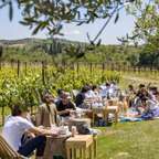 Degustazione vini Romagna in cantina a Rimini