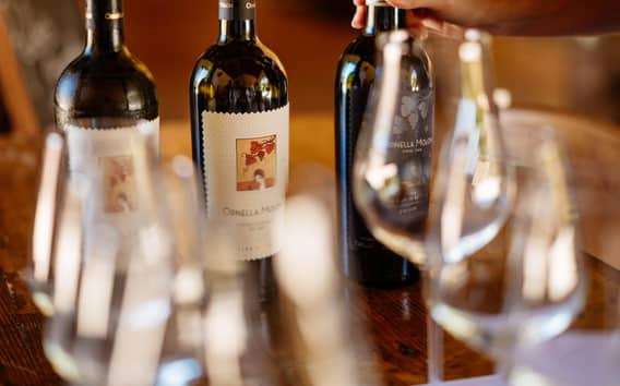 Oderzo: Weinprobe im Weingut Ornella Molon