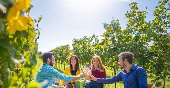 From Parma: Full-Day Wine & Gastronomy Tour