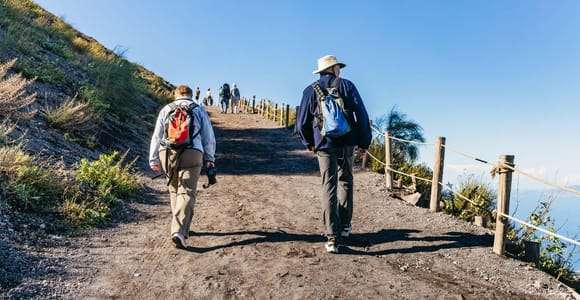 Desde Pompeya: Vesubio Easy Tour Traslado