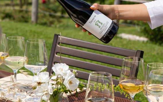 Weingut Antonelli in Montefalco: Keller und Mittagessen