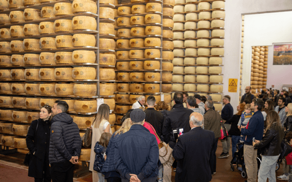 Parmesan Käserei Besichtigung bei Modena: Verkostung inklusive