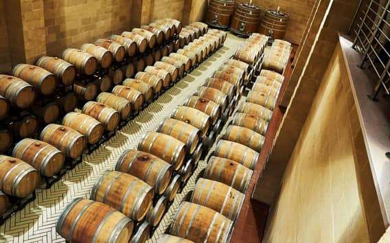 Bodega Tenute Rubino: visita guiada y cata de cuatro vinos