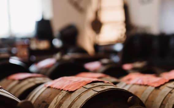 Balsamico-Tour in Modena mit Acetaia-Besuch und Verkostung