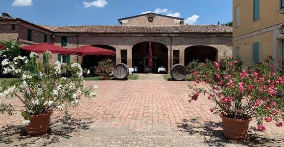 Modena: Typisk lunch på en bondgård med rundtur och provsmakning av balsamvinäger