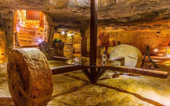 Cata de aceite de oliva en Ostuni con dos almazaras