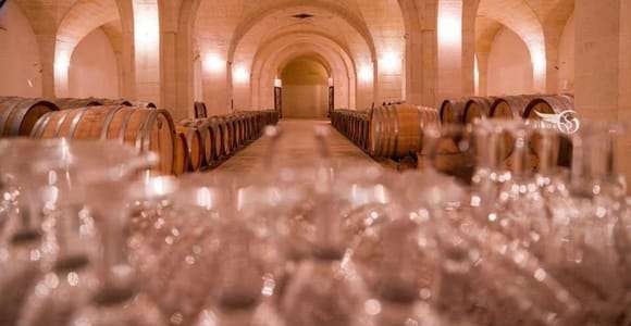 Experiencia de cata de vinos y aceites ecológicos cerca de Lecce