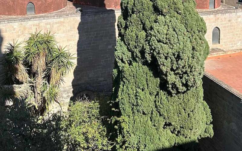 Palermo: Walking Tour of Secret Terraces & Hidden Corners